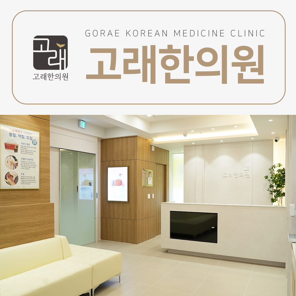 메디가이드 - 2