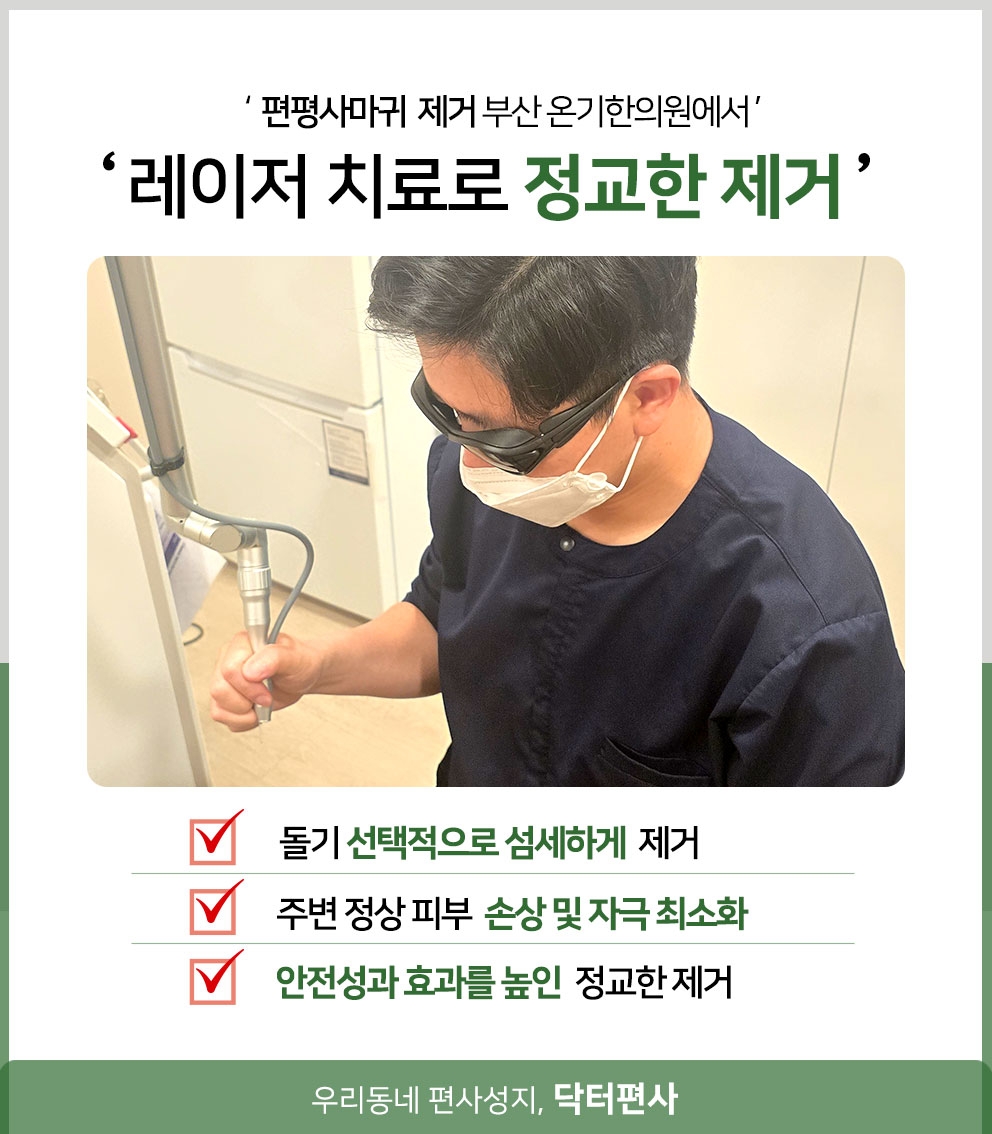 부산편평사마귀무제한013