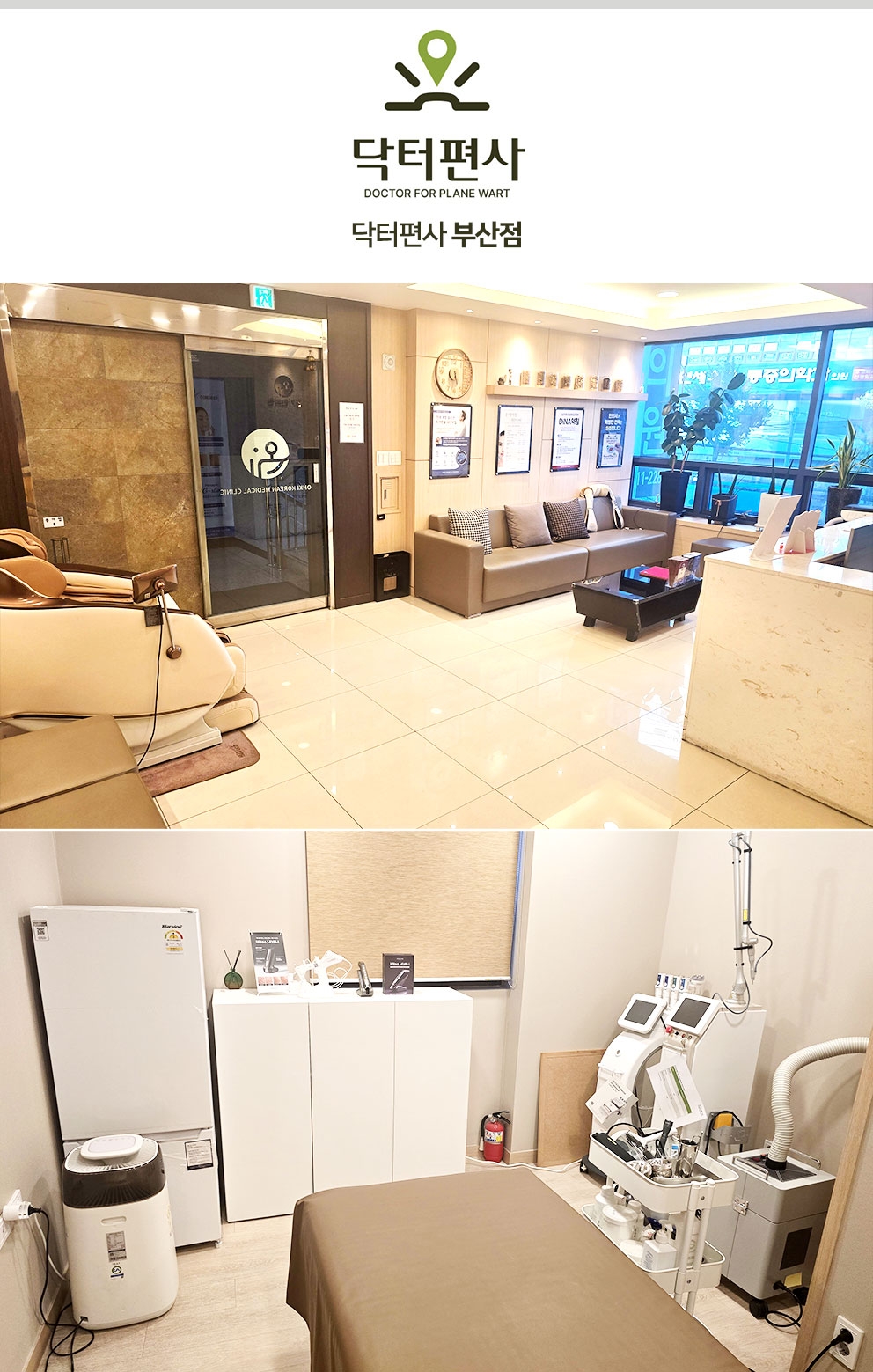 부산편평사마귀무제한015