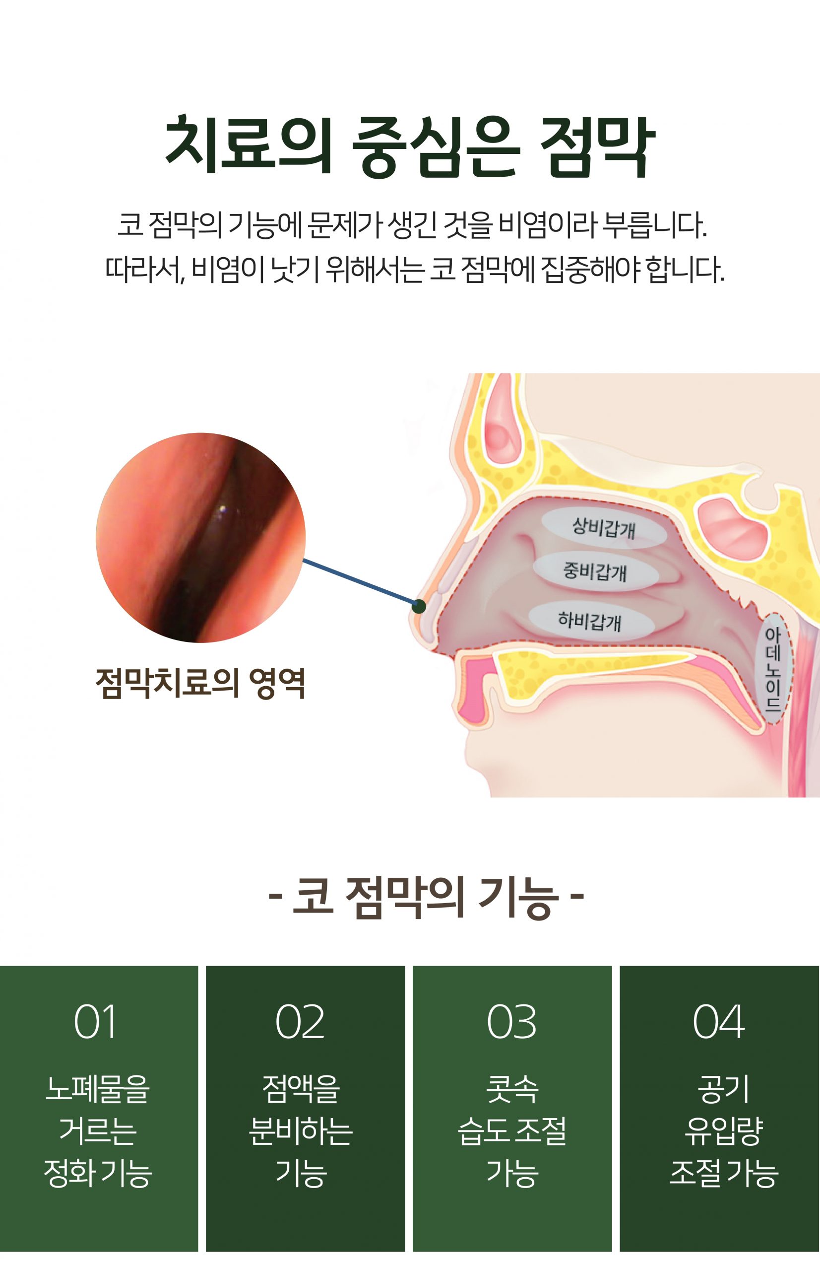 분당 비염축농증 한의원05 scaled