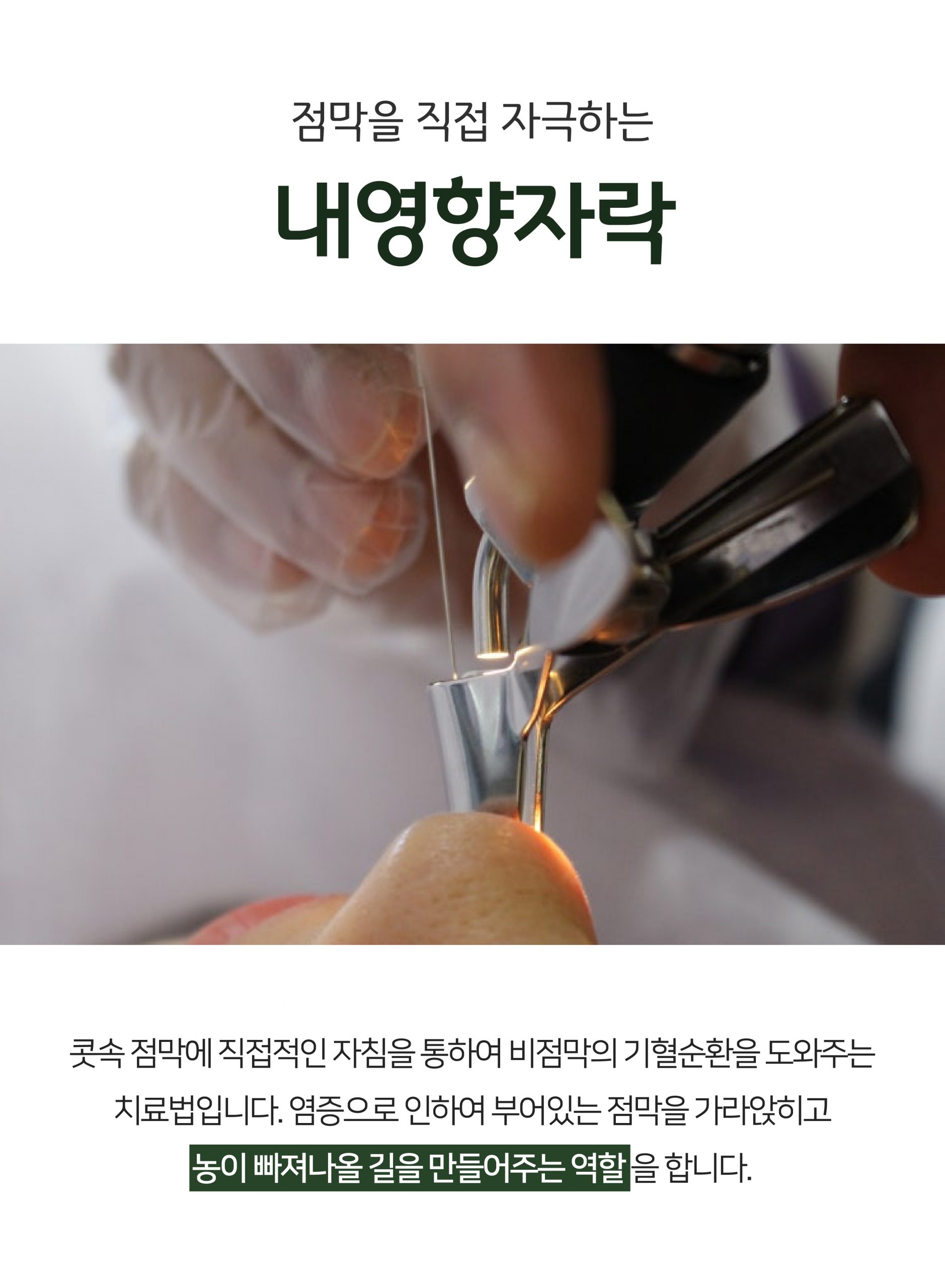 분당 비염축농증 한의원08 scaled