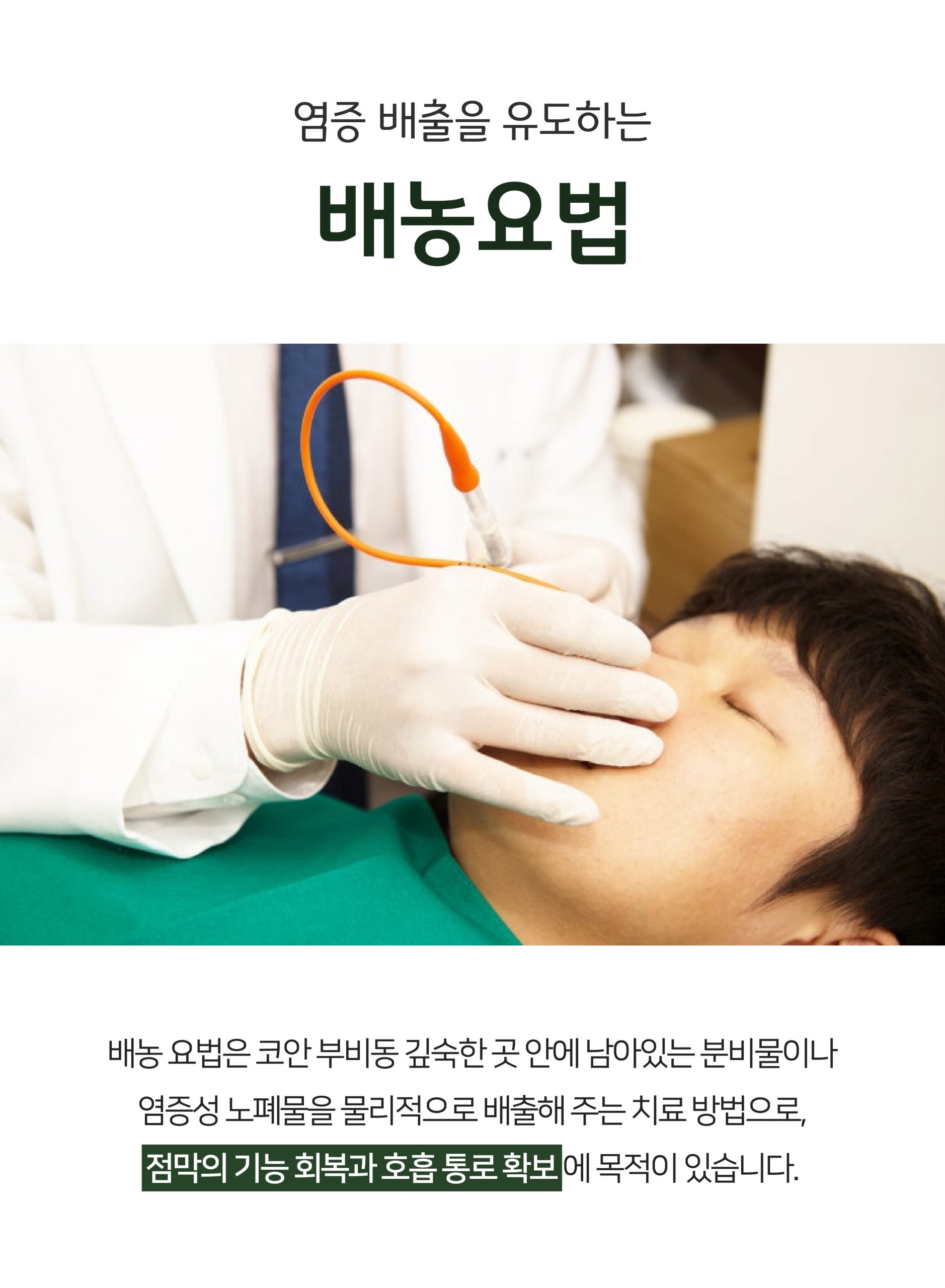 분당 비염축농증 한의원09 scaled