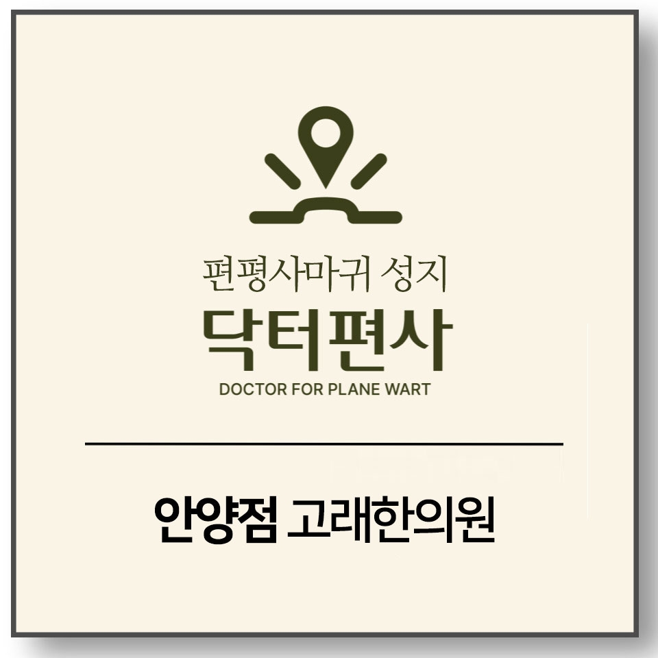 안양편평사마귀성지008