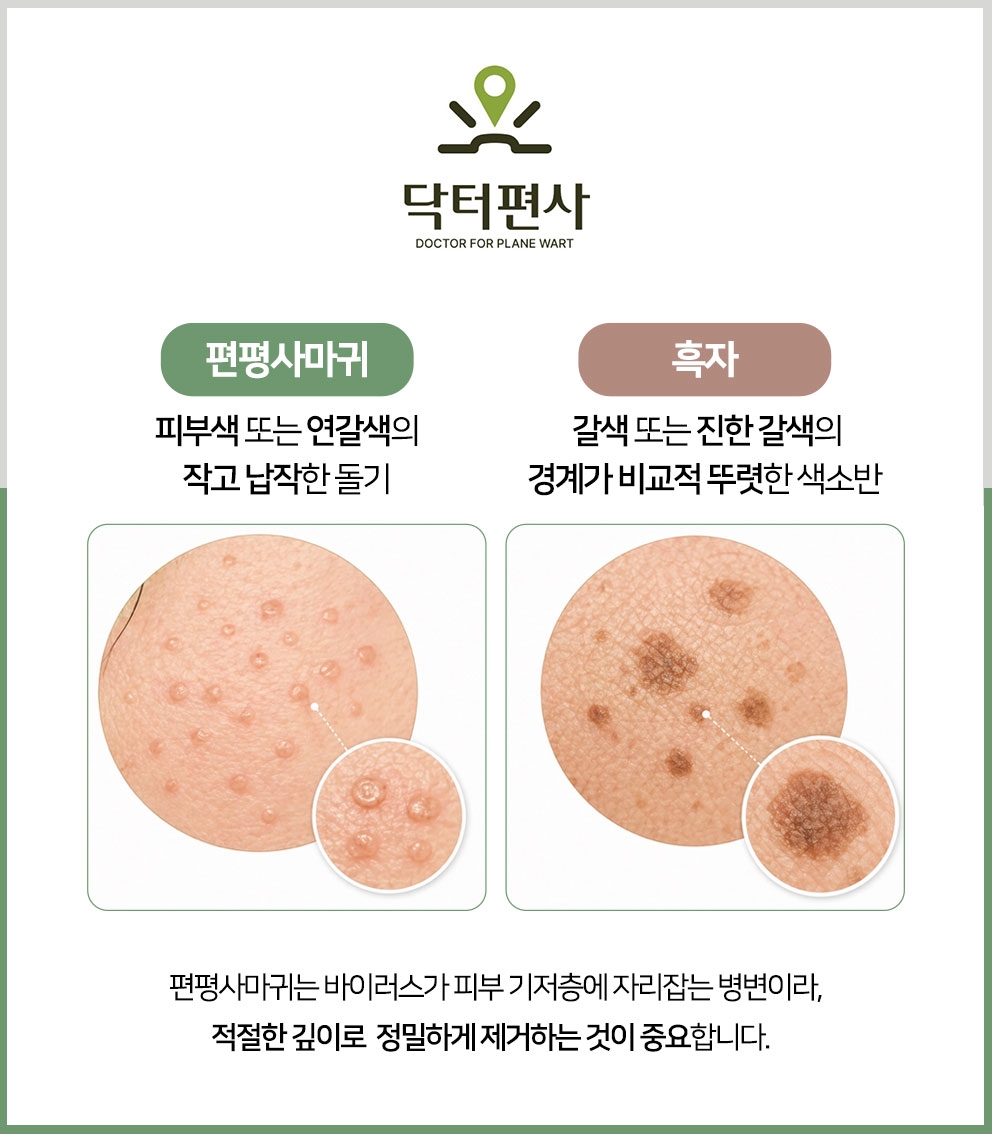 용산편평사마귀성지011 1