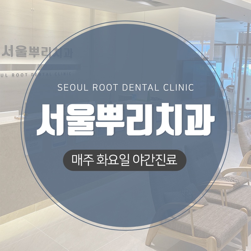 메디가이드 - 용인처인구1