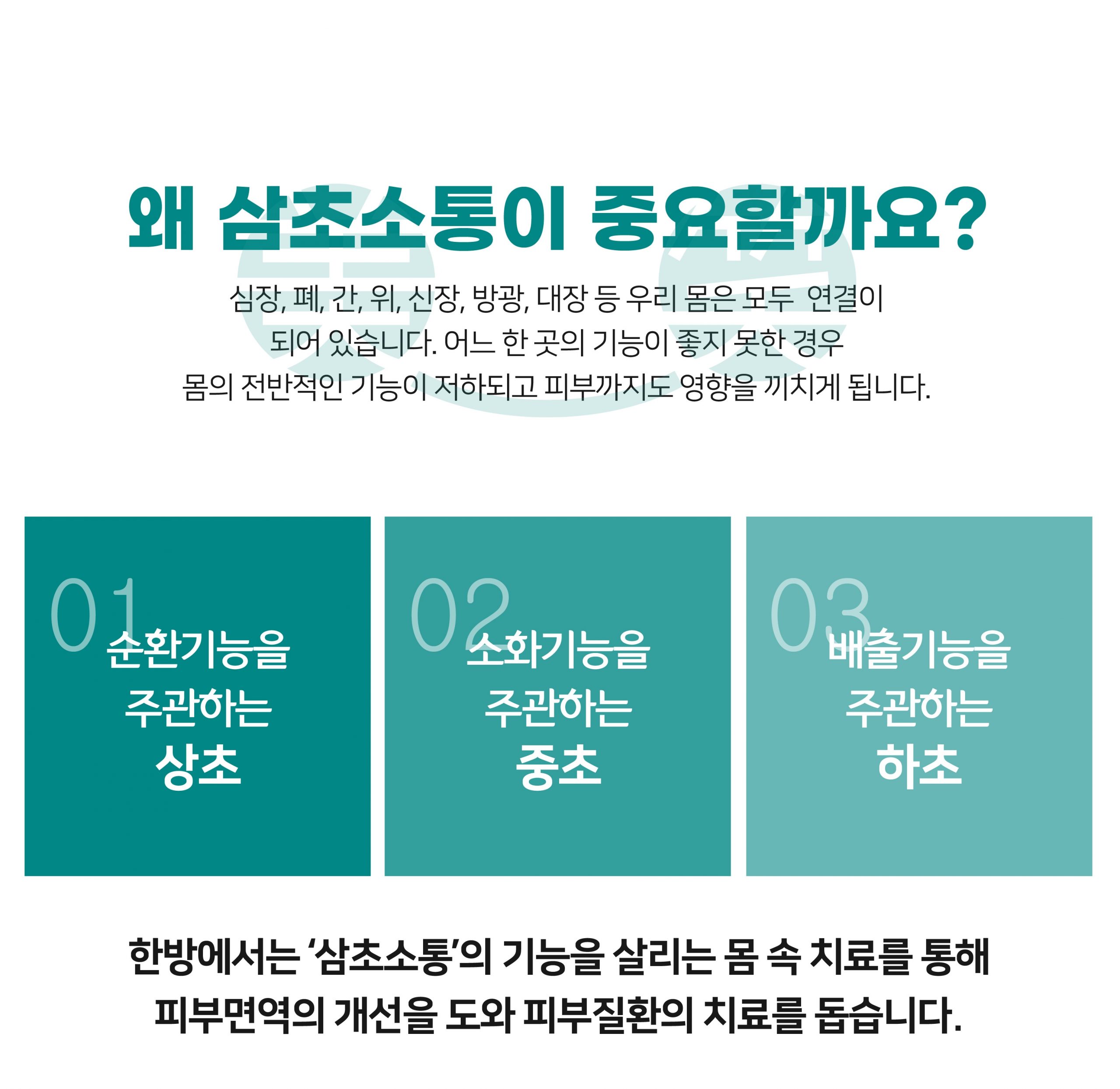 위례화폐상습진한의원011 scaled