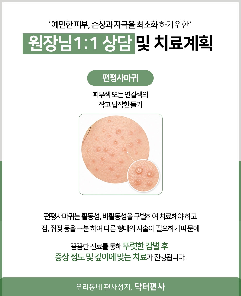 춘천편평사마귀성지12