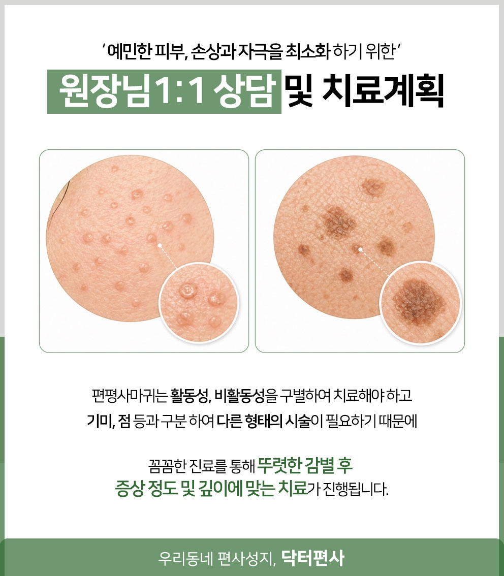포천편평사마귀성지012